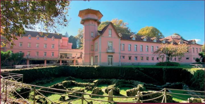Palace Hotel & Spa - Termas De Sao Vicente Penafiel Εξωτερικό φωτογραφία